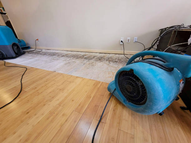 Professional Water Damage Repair technician working in Melville, RI